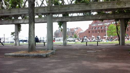 13310483_10206583893063202_956201012420799792_n