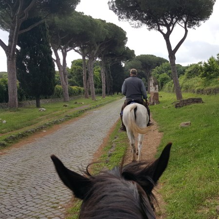 The tree-lined Appian Way