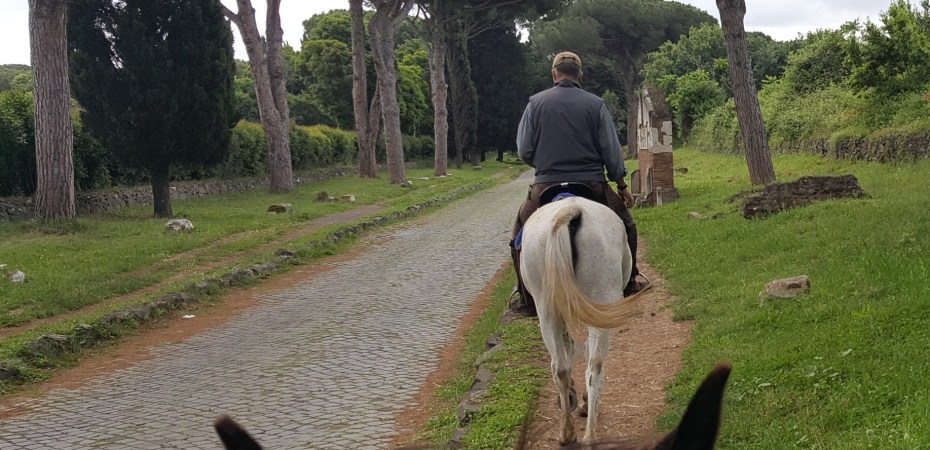 The tree-lined Appian Way