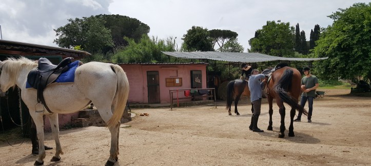 The Stable Courtyard from Riding Ancient Rome