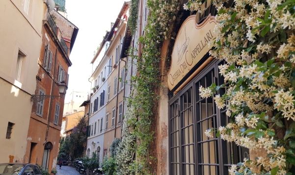 An osteria in a Roman side street with honeysuckle